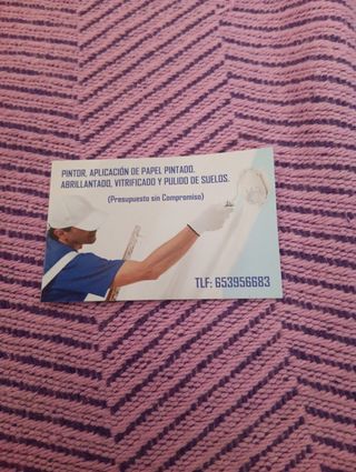 Pintor economico
