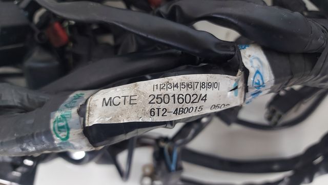 CABLAGGIO  IMPIANTO ELETTRICO SPEED TRIPLE 1050