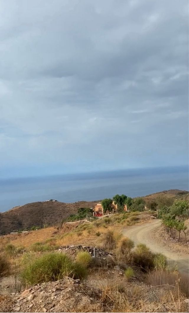 Terreno en el trebolar adra