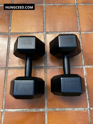 2 Mancueras 10kg pesas gimnasio entrenamiento