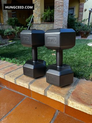 2 Mancueras 10kg pesas gimnasio entrenamiento