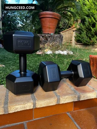 2 Mancueras 10kg pesas gimnasio entrenamiento
