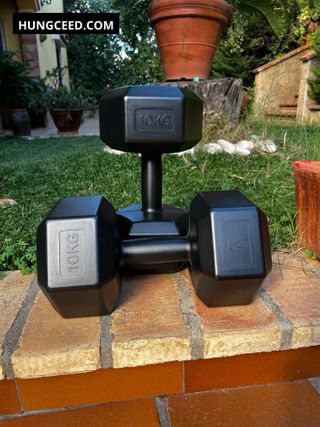 2 Mancueras 10kg pesas gimnasio entrenamiento