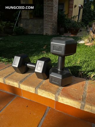 Pareja 5kg mancuernas pesas gimnasio casa
