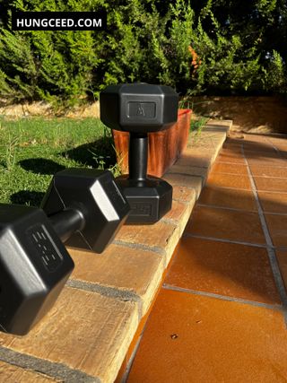 Pareja 5kg mancuernas pesas gimnasio casa