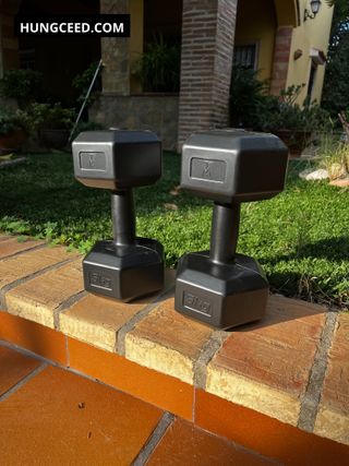 Pareja 5kg mancuernas pesas gimnasio casa