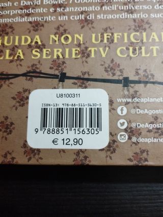 Messaggi dal sotto sopra. Dentro il mondo di Stranger Things