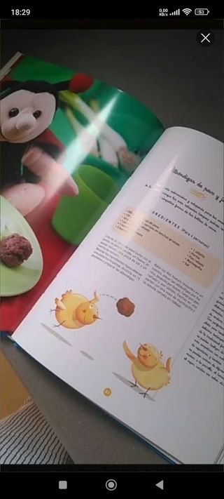 Colecció 5 libros cocina para bebés ( babycook i t