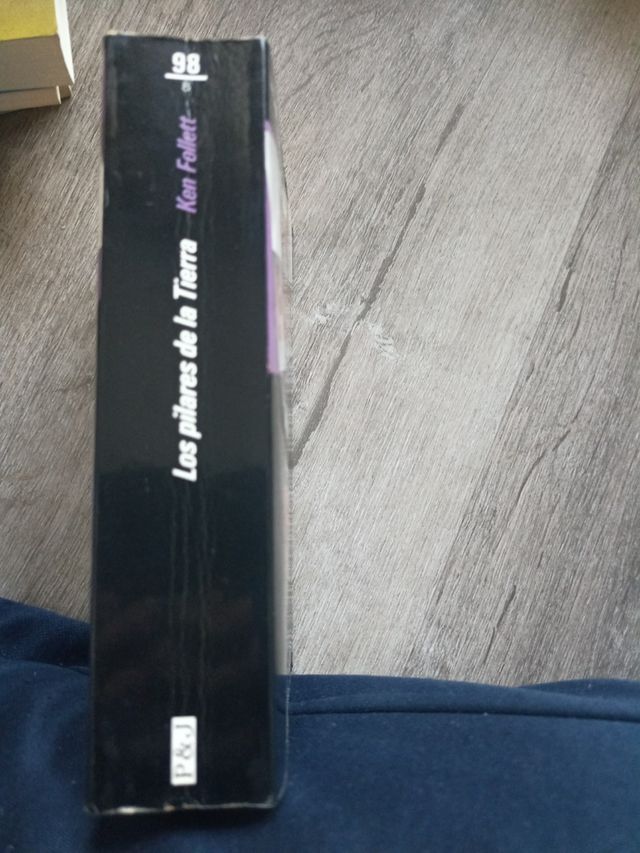 Los Pilares de la Tierra