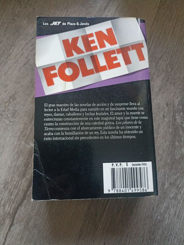 Los Pilares de la Tierra