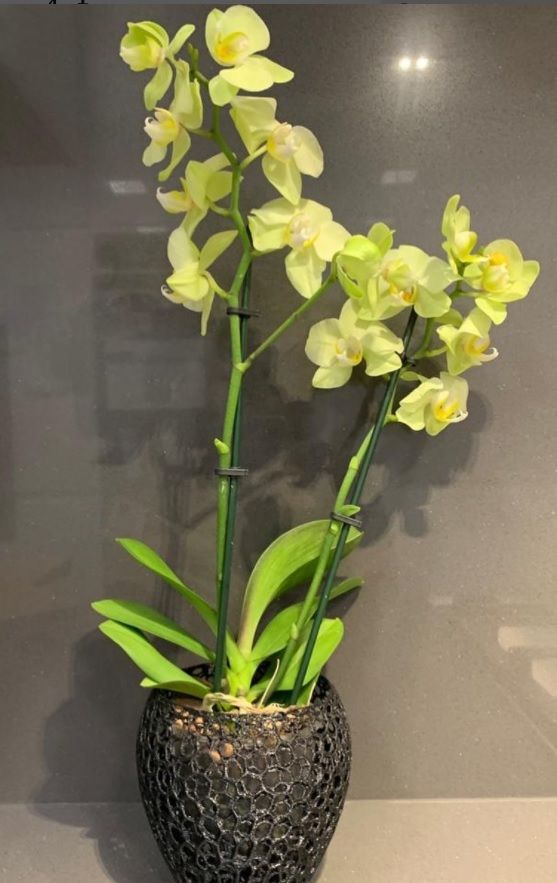 Servicio de impresión 3d