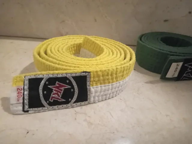 Cinturones de judo