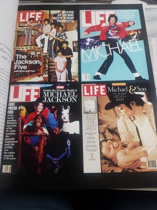 Life Remembering Michael