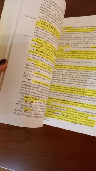 Manuale Di Diritto Commerciale