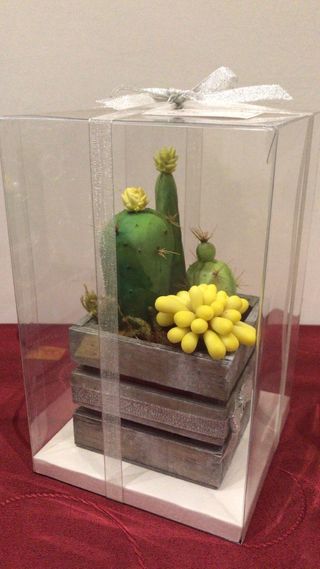 Piante grasse in ceramica fredda