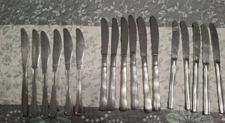 17 coltelli in acciaio inossidabile