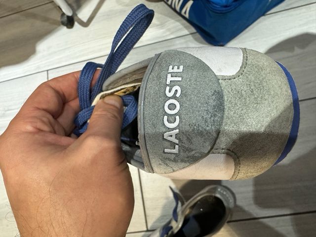 scarpe lacoste