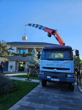 CAMION GRUA Y TRANSPORTES