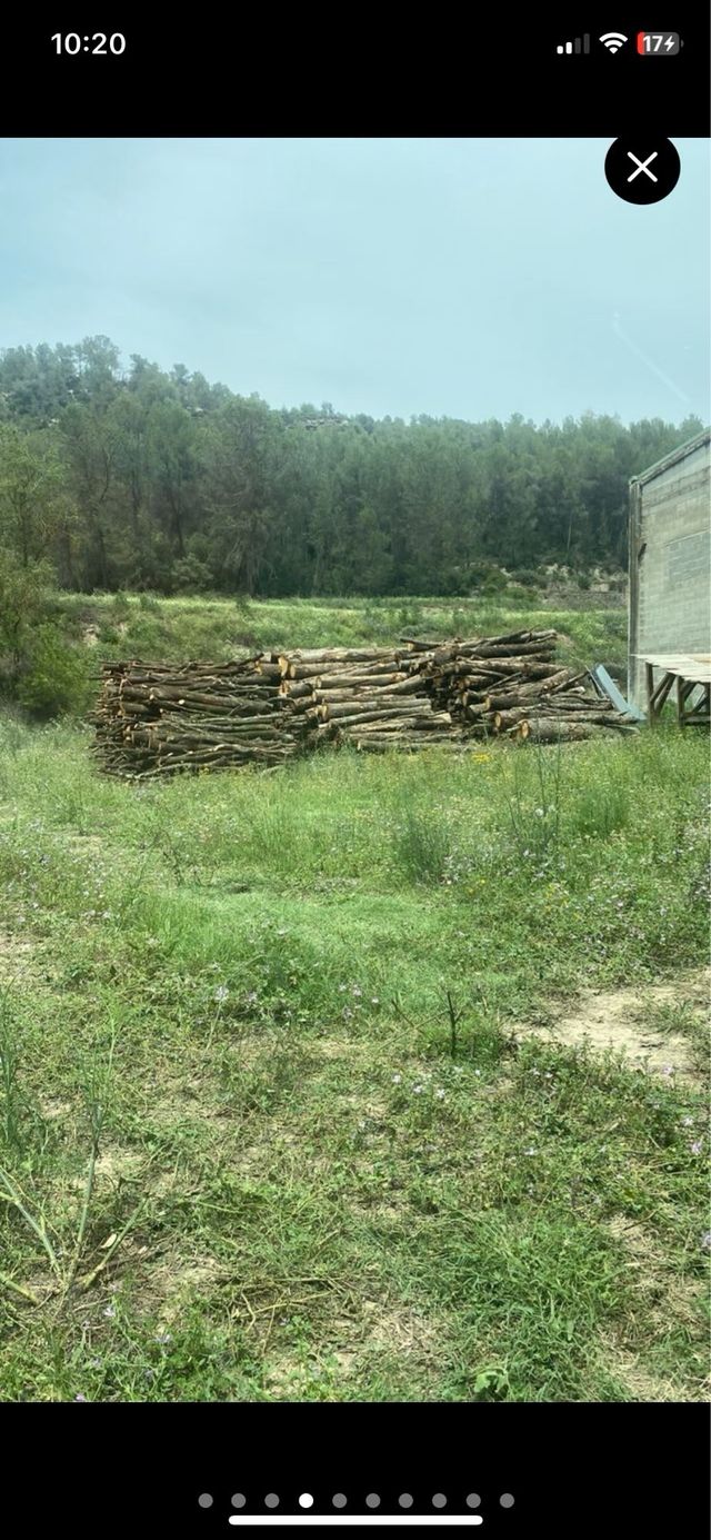 madera barbacoa fuego calçots venta de leña
