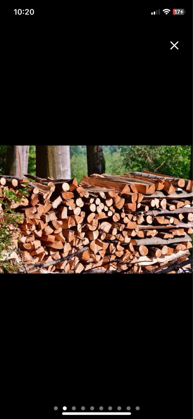 madera barbacoa fuego calçots venta de leña