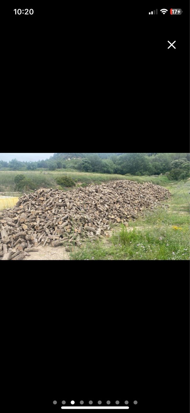 madera barbacoa fuego calçots venta de leña