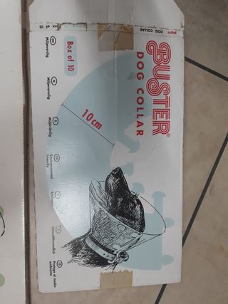 Collare Elisabetta varie misure