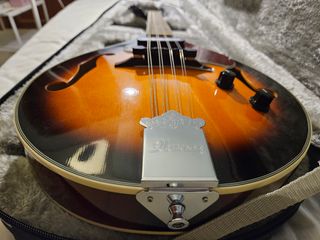 Mandolina Ibanez m510e con Funda