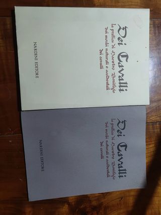 Dei cavalli la pratica di Maestro bonifa