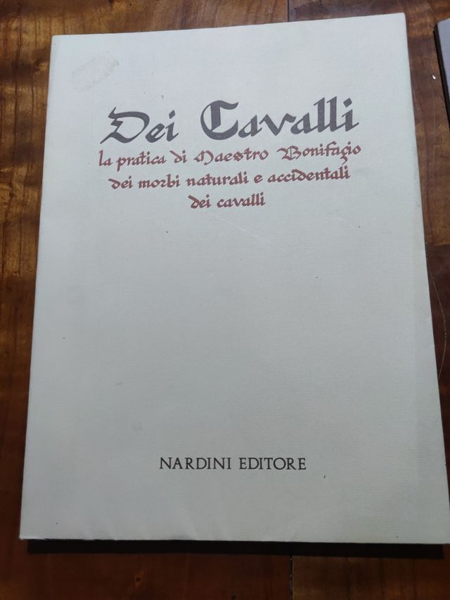 Dei cavalli la pratica di Maestro bonifa