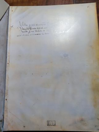 Dei cavalli la pratica di Maestro bonifa