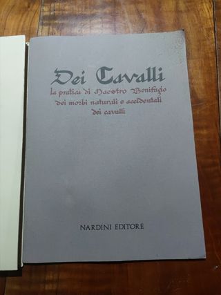 Dei cavalli la pratica di Maestro bonifa