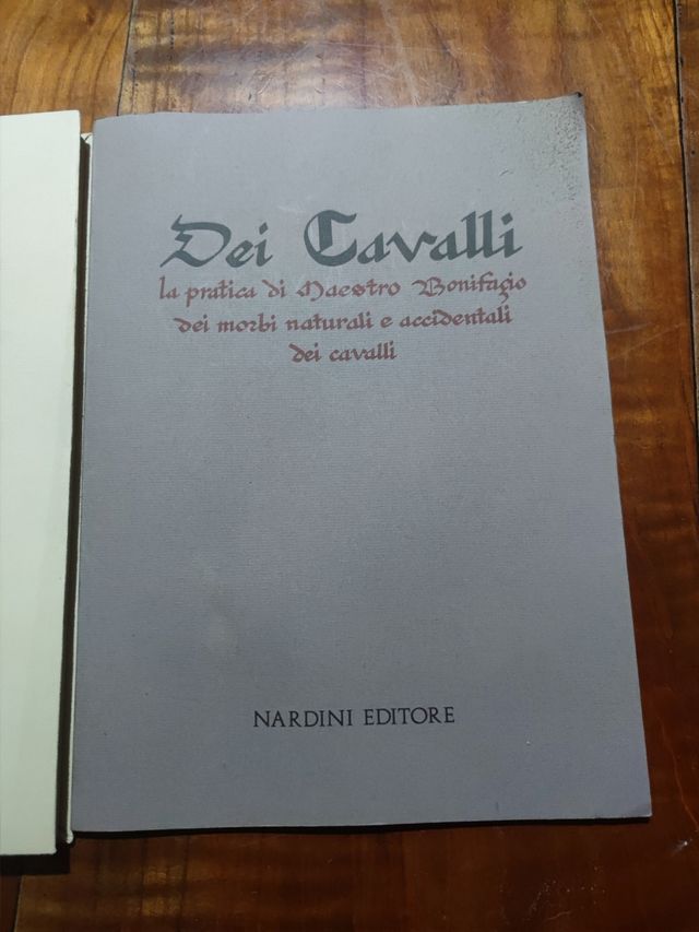 Dei cavalli la pratica di Maestro bonifa