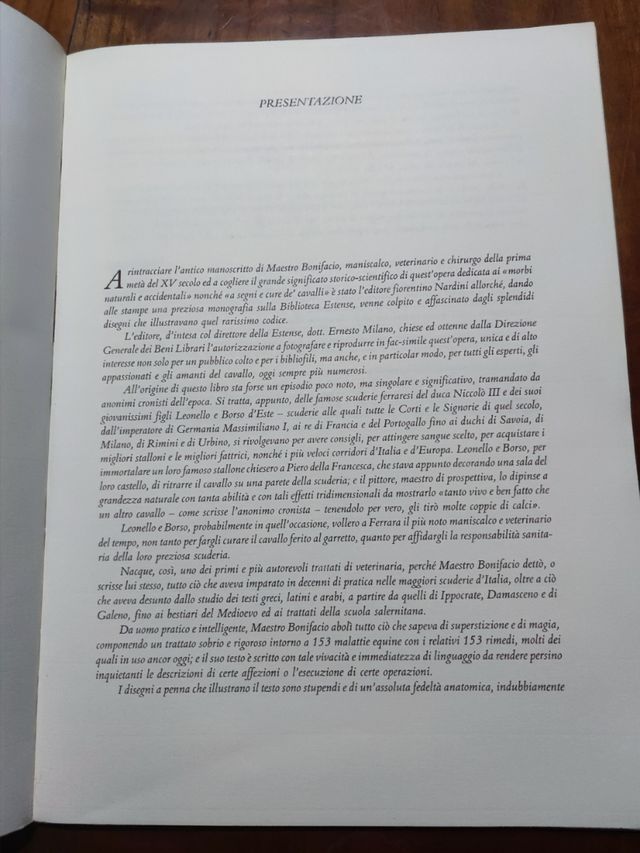 Dei cavalli la pratica di Maestro bonifa