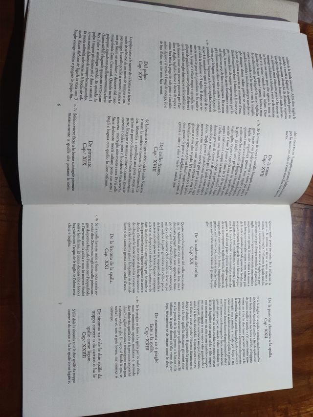 Dei cavalli la pratica di Maestro bonifa