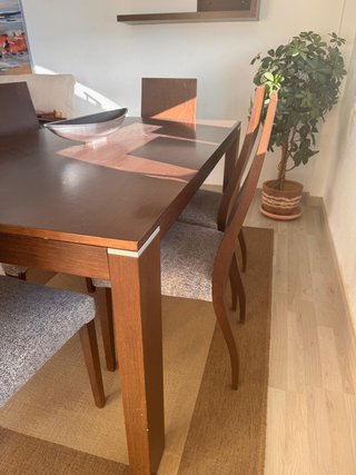 Mesa comedor extensible con seis sillas