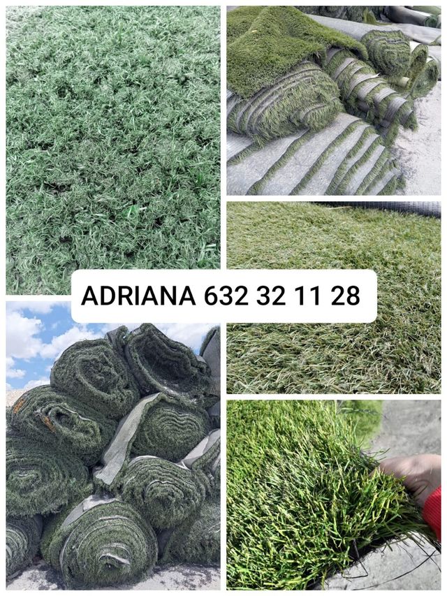 ‼️ Venta césped ‼️