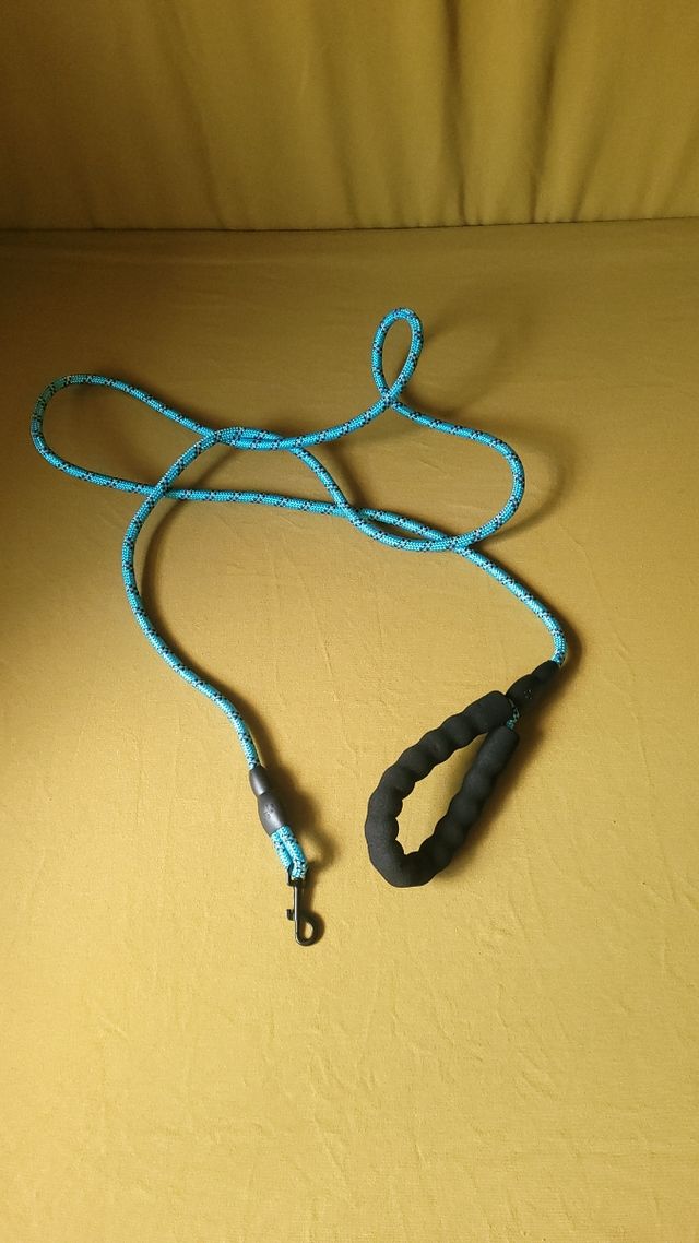 Correa para paseo de perros