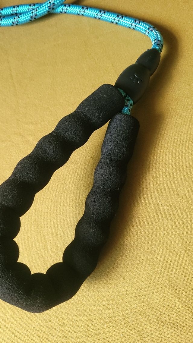 Correa para paseo de perros