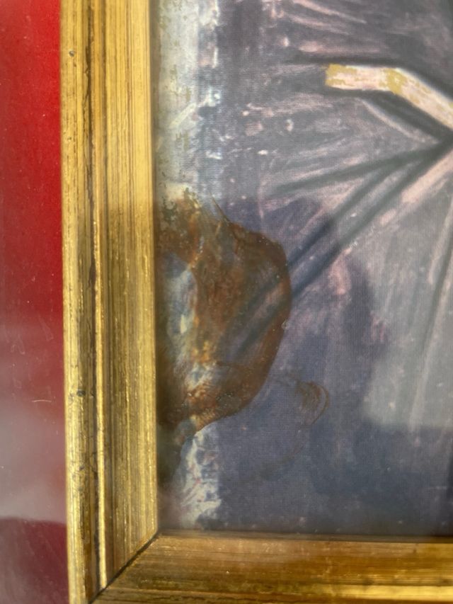 Quadro immagine sacra