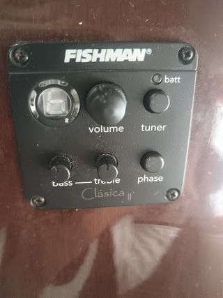 Guitarra / Guitarra amplificada