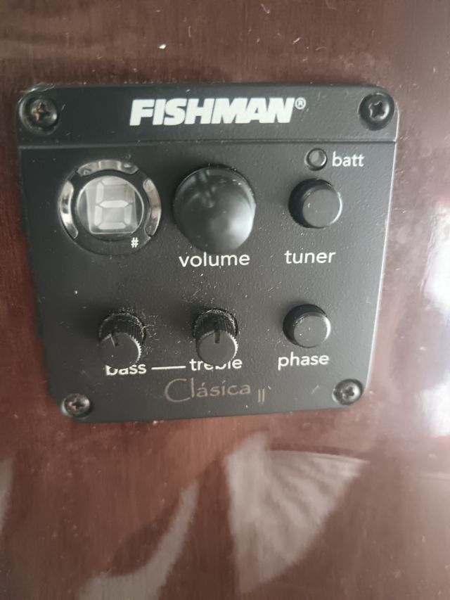 Guitarra / Guitarra amplificada