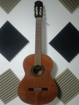 Guitarra / Guitarra amplificada