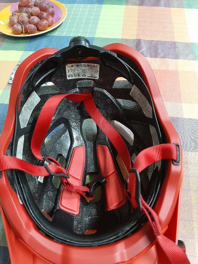 Casco bici adulto nuevo