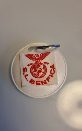 Artigos do Benfica año 1981