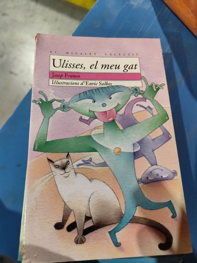 Ulises, el meu gat