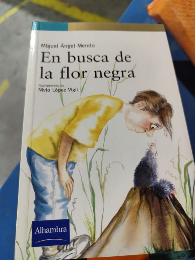 En busca de la flor negra