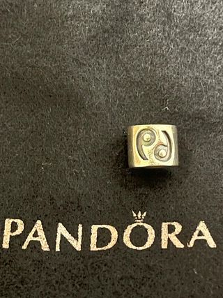 Charm pandora