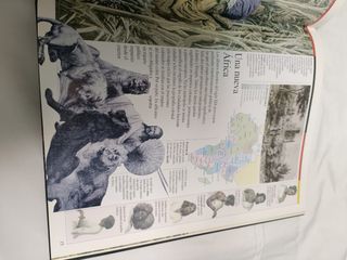 Historia de la humanidad. Larousse.