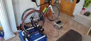 Scott foil lote 