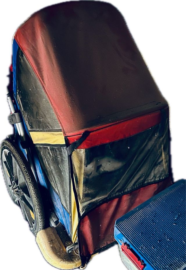 Remolque para bici para llevar 2niños 